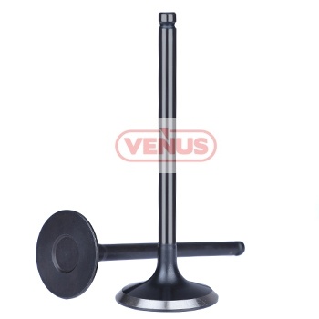 Engine_valve